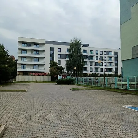 Apartament Apartament - Słoneczna łubinowa *